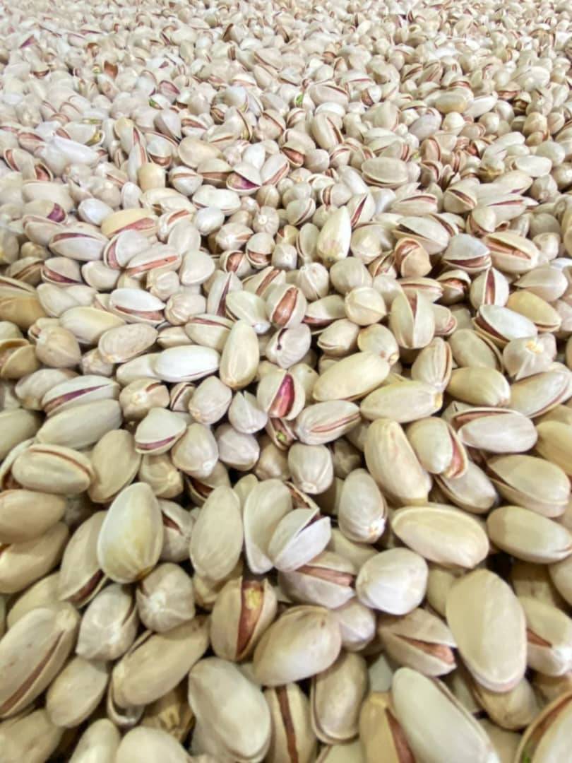 تصویر 4 از خرید عمده پسته اکبری تازه خندان لوکس  + مناسب صادرات